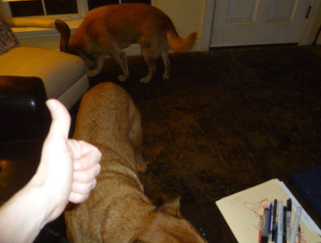Image-75623-full