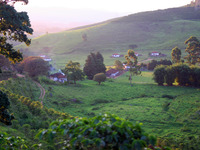 Photo-little