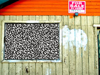 Photo-little