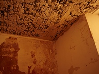 Photo-little
