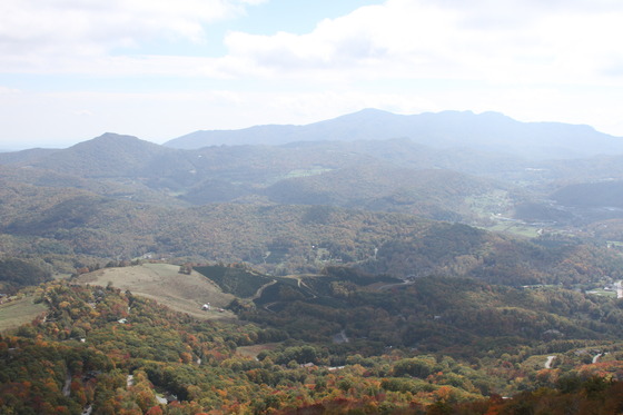 Image-170876-full