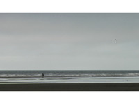 Photo-little