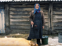 Photo-little