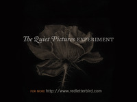 Photo-little
