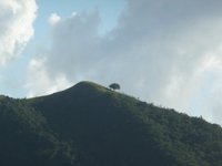 Photo-little