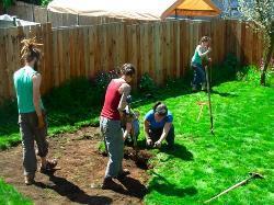 Image-49310-full