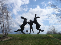 Photo-little