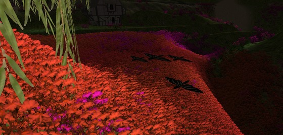 Image-170739-full