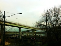 Photo-little