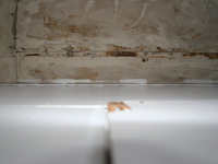 Photo-little