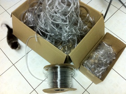 Image-53002-full