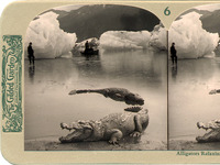 Photo-little