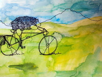 Photo-little