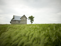Photo-little