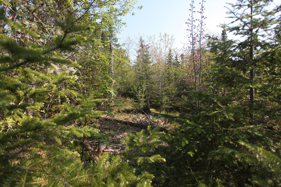 Image-121012-full