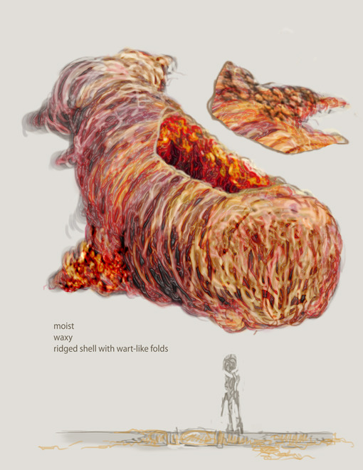 Image-227435-full