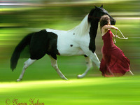 Photo-little