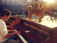 Photo-little