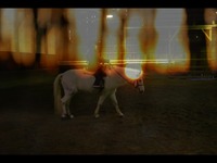 Photo-little