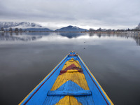 Photo-little