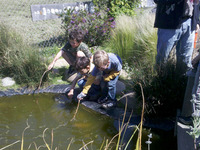 Photo-little