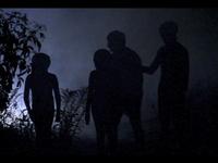 Photo-little