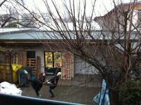 Photo-little
