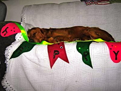 Image-105435-full