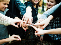 Photo-little