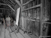 Photo-little