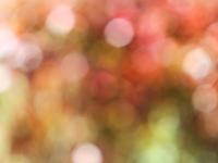Photo-little