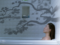 Photo-little