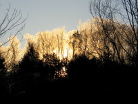 Photo-little