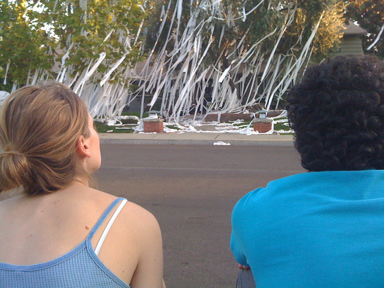 Image-94288-full