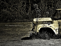 Photo-little