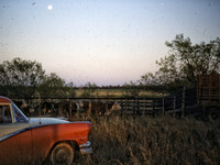 Photo-little
