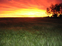 Photo-little