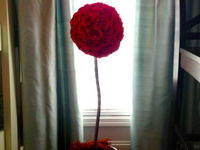 Photo-little
