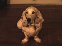 Photo-little