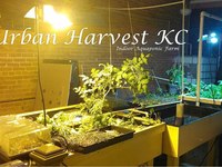 Photo-little