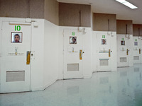 Photo-little