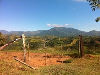 Photo-little