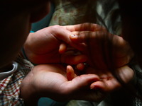 Photo-little