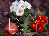 Photo-little