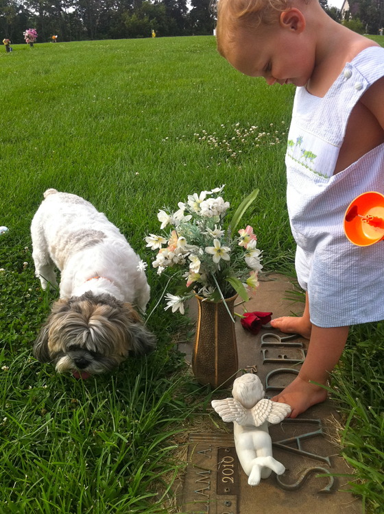 Image-72198-full