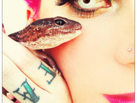 Photo-little