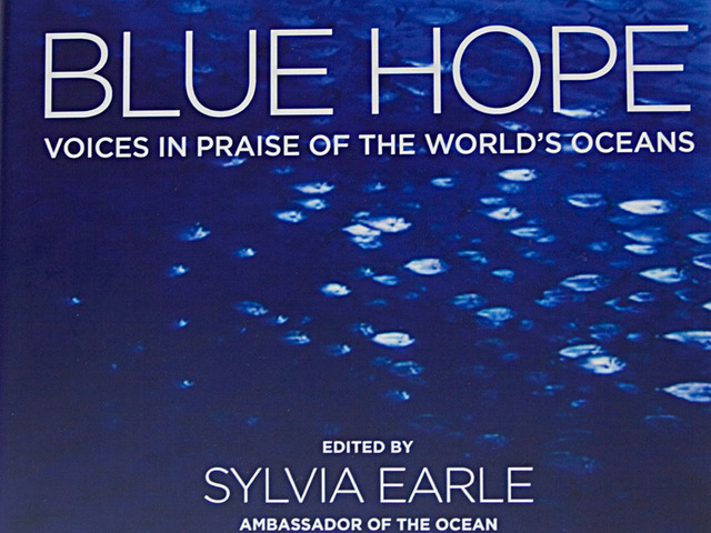 Blue Hope - An Ocean Book for the World