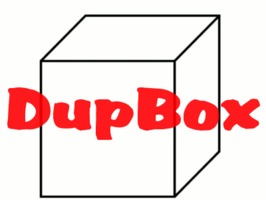 DupBox the simple answer to digitizing old images and paper