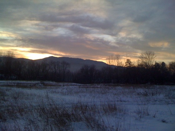Image-77335-full