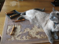 Photo-little